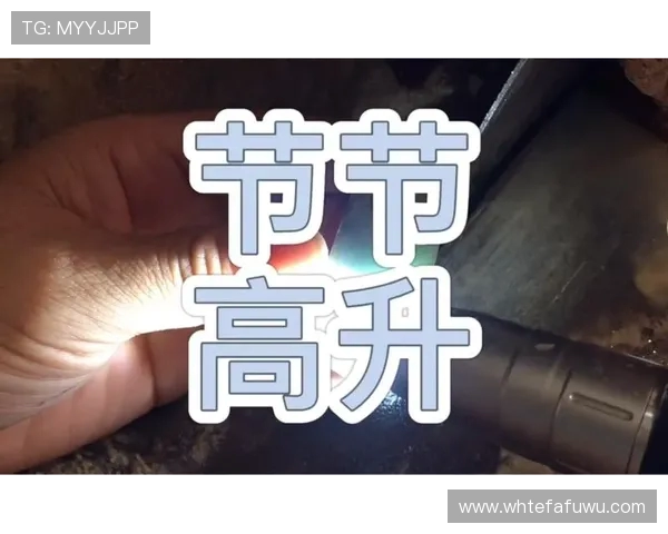 鍦熻冻鍗忕邯寰嬪鍛樹細涓诲腑锛堝姞鎷夊钀ㄩ浄姝诲繝锛夊洜濞佽儊绌嗗竻闆嗕綋杈炶亴